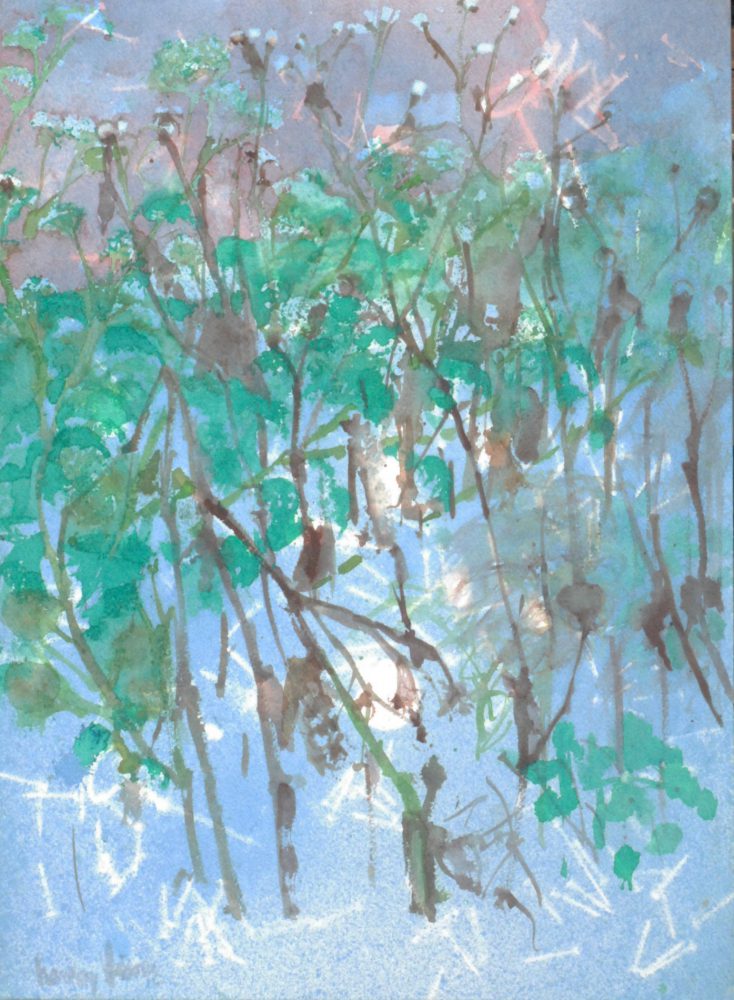 Harry Visser | Onkruid in de tuin | aquarel 52 x 65 cm