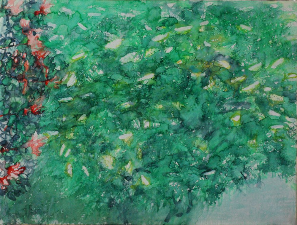 Harry Visser | Vlier en kamperfoelie in bloei | aquarel 53 x 70 cm