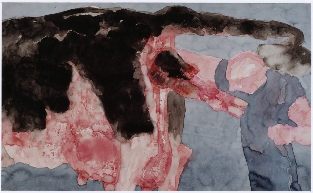 Harry Visser | Kalvende koe | aquarel 60 x 100