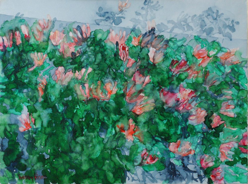 Harry Visser | Bloeiende kamperfoelie | aquarel 53 x 70 cm